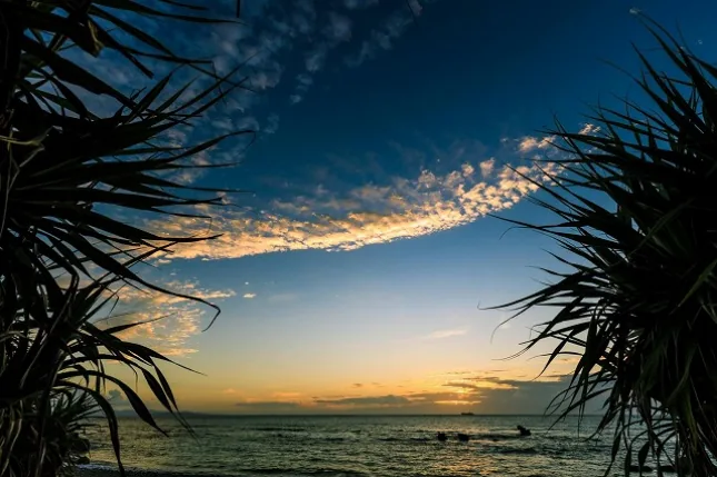 木々の間から望む茜色の空と夕海